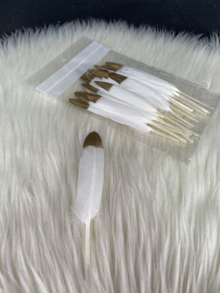 ريش ابيض مقصب ذهبي