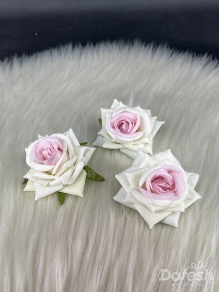 زهري مع ابيض