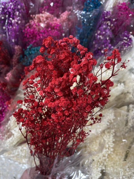 رد جفسو أحمر