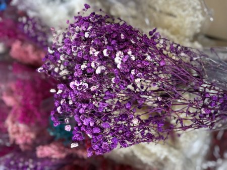 ورد جفسو نهدي