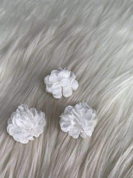 ورد مخمل حبة صغيرة