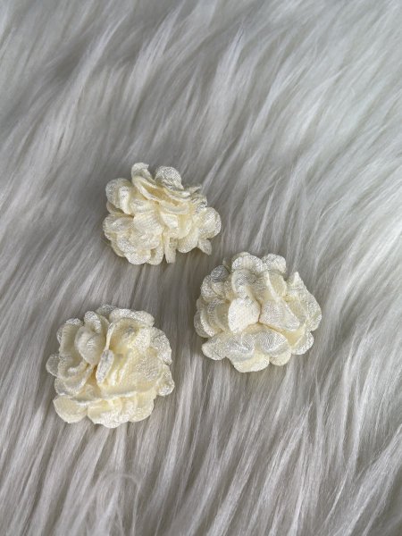 ورد مخمل حبة صغيرة