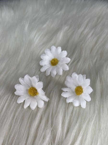 ورد للتزيين دوار شمس