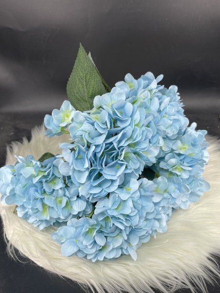 ضمة ورد منتور