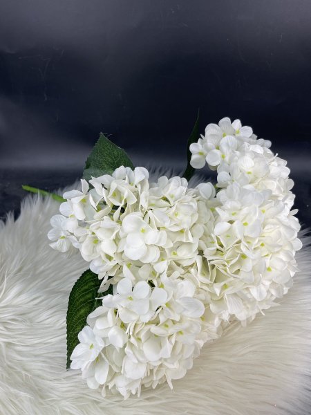 ضمة ورد منتور