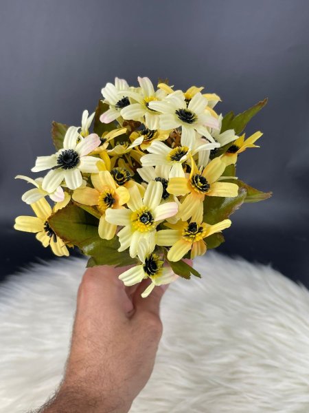 رد دوار شمس