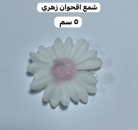 ع اقحوان زهر 5 سم