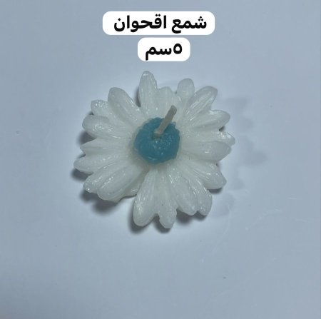 شع اقحوان ازرق 5سم
